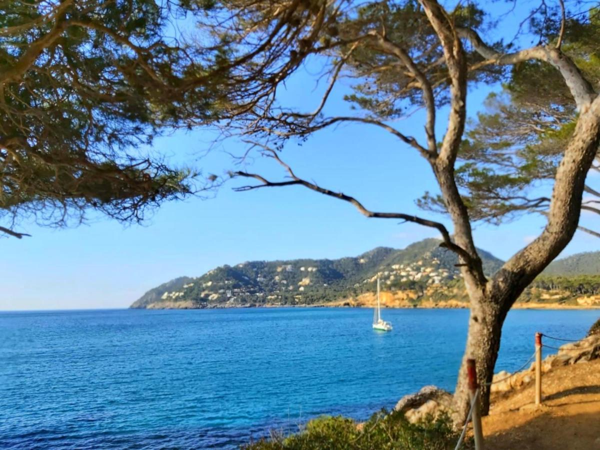 Apartment Brand New Caladoy At 150 Meters From Canyamel Beach, Pool & Garden, Solarium Canyamel (Mallorca)